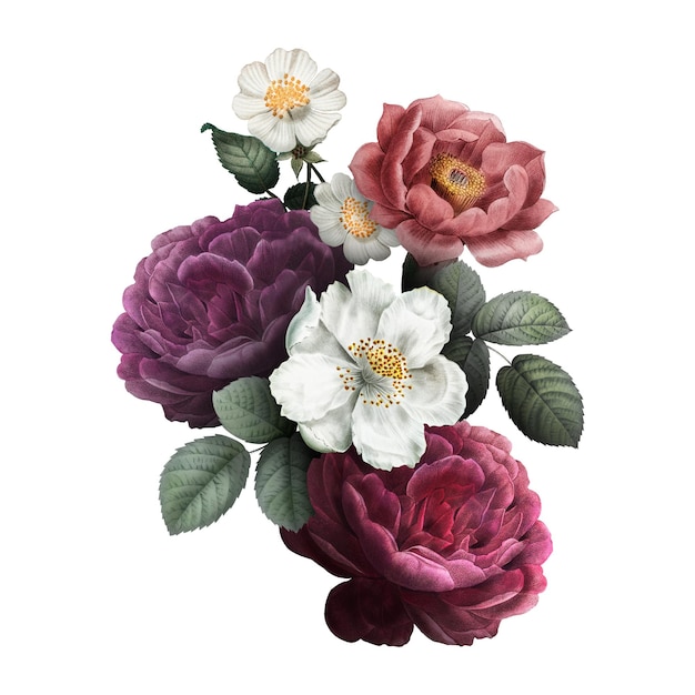 Mooie met de hand getekende kleurrijke rozen doorzichtig png