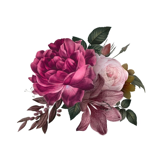 Mooie met de hand getekende roze rozen doorzichtige png