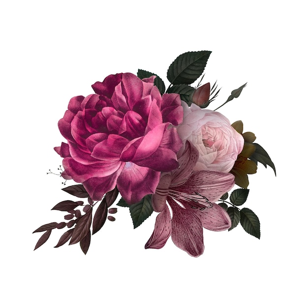 Mooie met de hand getekende roze rozen doorzichtige png