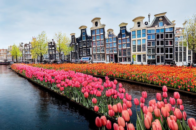 Foto mooie met tulpen begroeide kanaaloevers met huizen en bomen