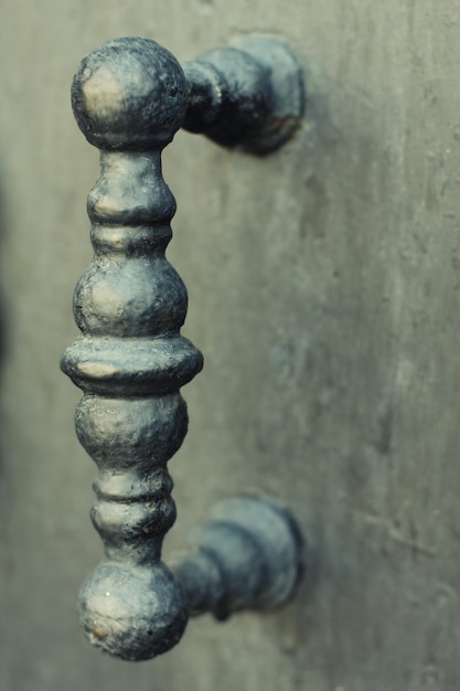 Mooie metalen poort van het oude kasteel