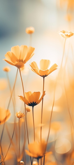 Mooie minimalistische bloemen achtergrond met voorjaarsbloemen zacht licht selectieve focus
