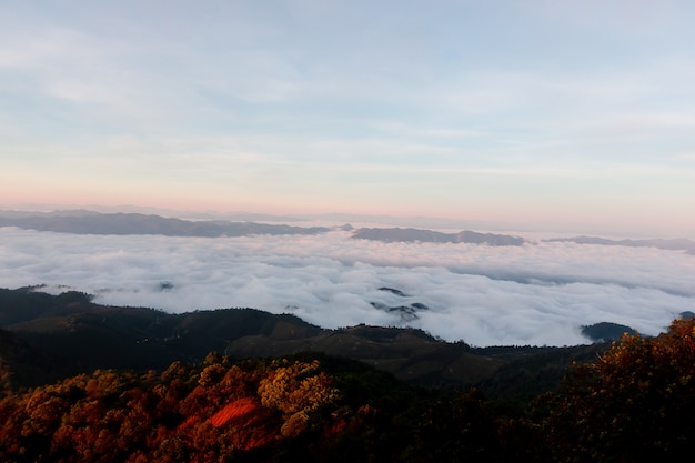 mooie mist op de top van de berg vóór zonsopgang op Pucco Mountain Thailand