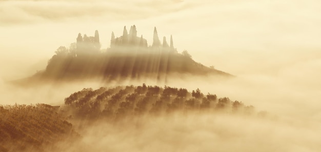 Mooie mistige zonsopgang in Toscane Italië met wijngaard en bomen Natuurlijke mistige achtergrond