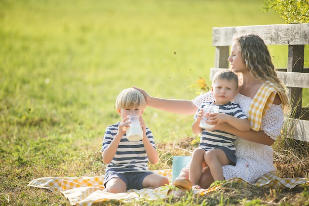 Mooie moeder en haar zonen met een picknick