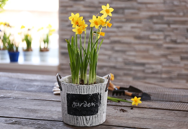 Mooie narcissen in pot op houten tafel