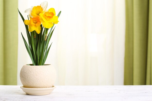 Mooie narcissen in pot op stoffenachtergrond