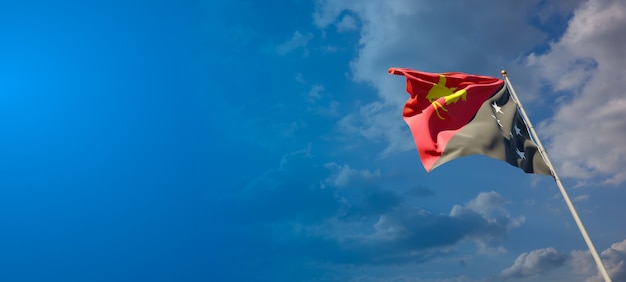 Mooie nationale vlag van papoea-nieuw-guinea op blauwe hemel