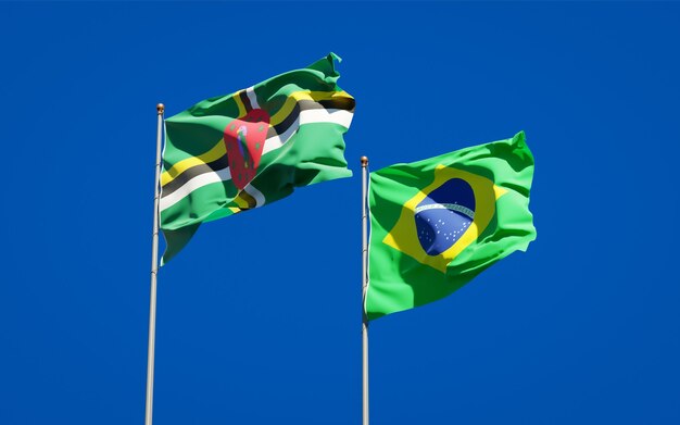 Mooie nationale vlaggen van Brazilië en Dominica samen op blauwe hemel