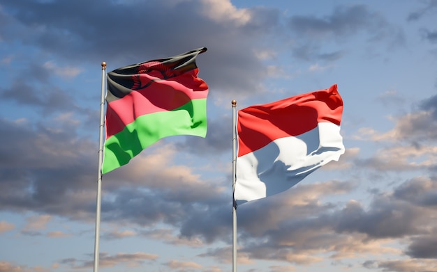 Mooie nationale vlaggen van Malawi en Indonesië samen op blauwe hemel