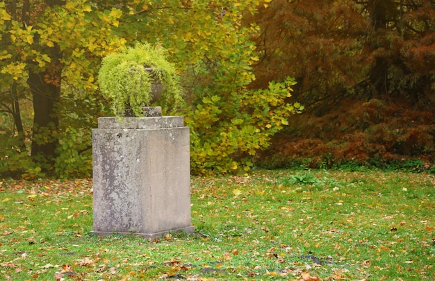 Mooie natuur herfst landschap landschap uitzicht op de herfst stad park met gouden gele bladeren in