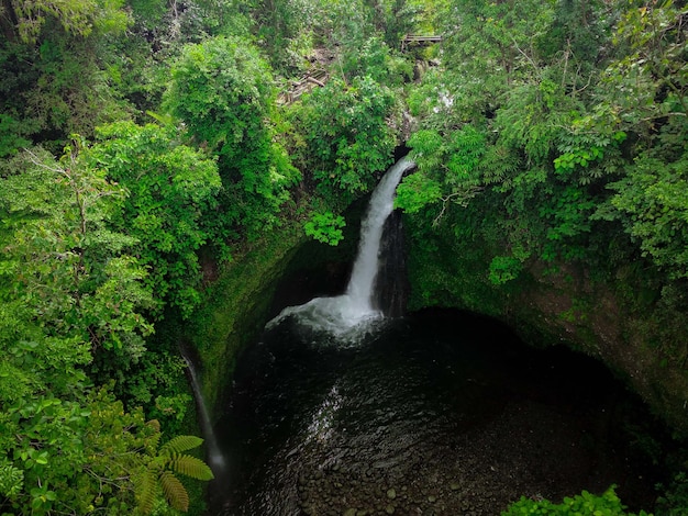 Mooie ochtendmening van het natuurlijke panorama van Indonesië met de schoonheid van de kleuren en natuurlijk