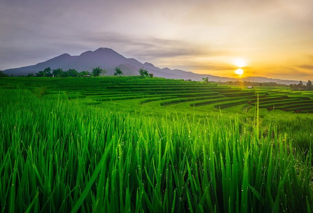 Mooie ochtendmening van het natuurlijke panorama van Indonesië met de schoonheid van de kleuren en natuurlijk
