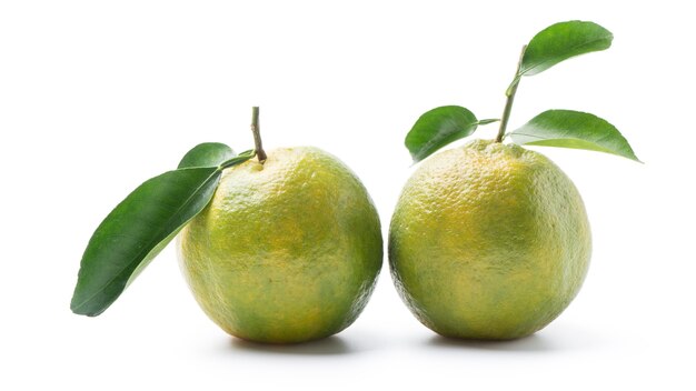 Mooie onrijpe groene mandarijn met bladeren geïsoleerd op een witte achtergrond, uitknippad, uitgesneden, close-up.