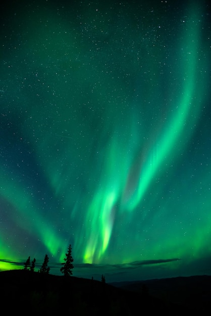 Mooie opname van aurora borealis, Dawson City, Yukon, Canada
