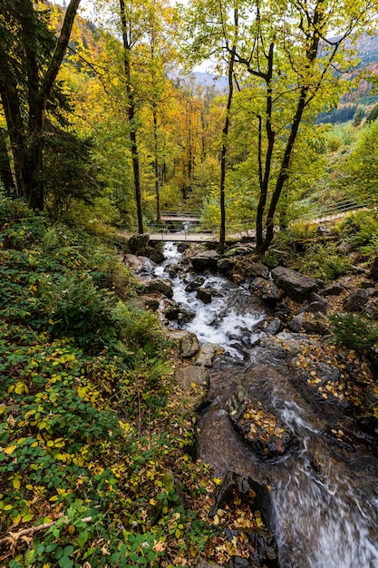 Mooie opname van de herfstnatuur, waterval Todtnau in het Zwarte Woud, Duitsland