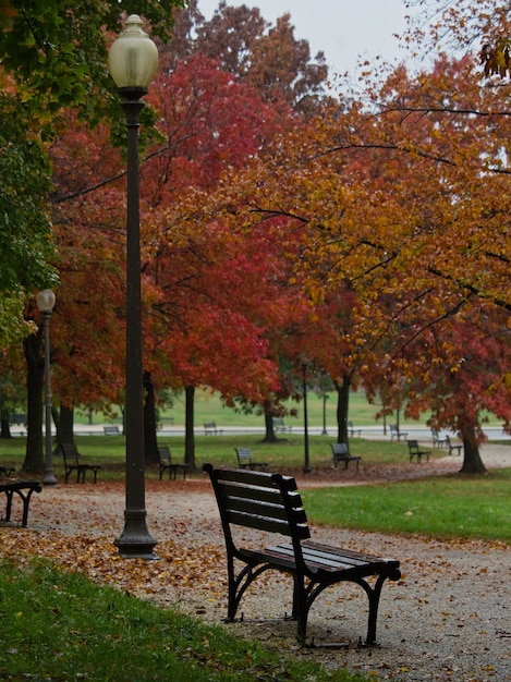 Mooie opname van een bankje in het herfstpark