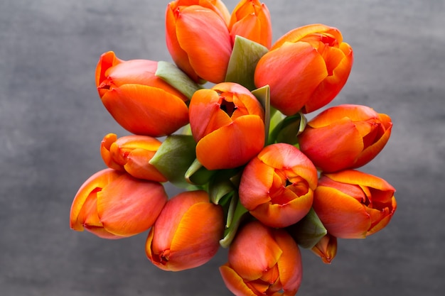 Mooie oranje tulpenbloemen