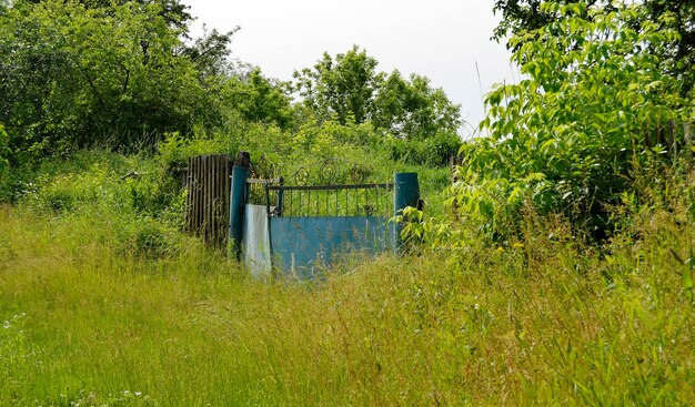 Mooie oude poort van verlaten huis in dorp op natuurlijke achtergrondfotografie bestaande uit oude poort voor huis naar dorp oude poort uit dorpshuis bij wild natuurlijk groot licht gebladerte close-up