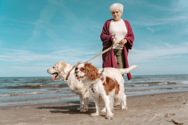 Mooie oudere dame die op het strand staat en haar twee huisdieren aan de lijn houdt