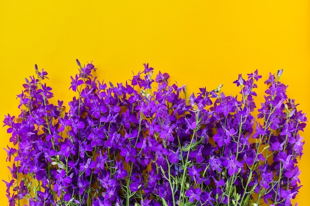 Mooie paarse bloemen op een gele achtergrond Mooie paarse bloemen op een gele achtergrond