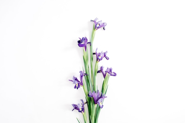 Mooie paarse iris bloemen boeket op wit