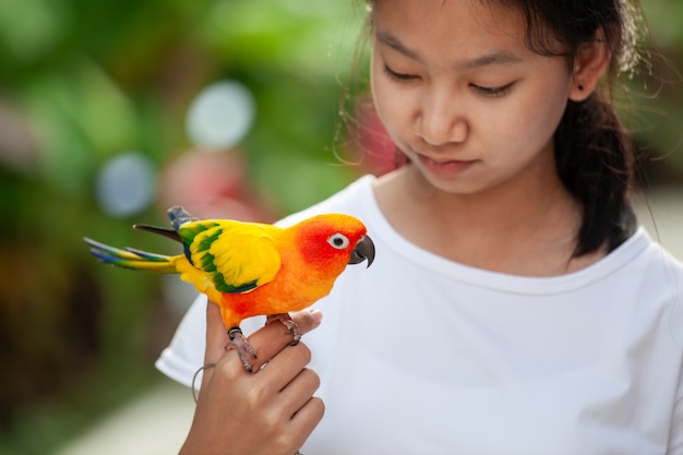 Mooie papegaaivogels die zich op vrouwenhand bevinden. het aziatische spel van het tienermeisje met haar vogel van de huisdierenpapegaai