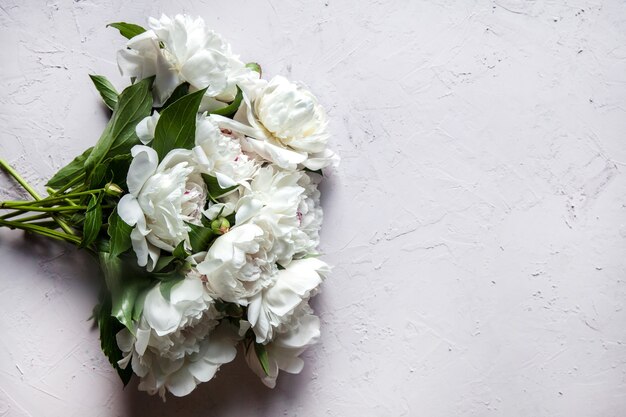 Mooie pioenroos bloemen met kopie ruimte voor uw tekst bovenaanzicht en plat lag stijl.