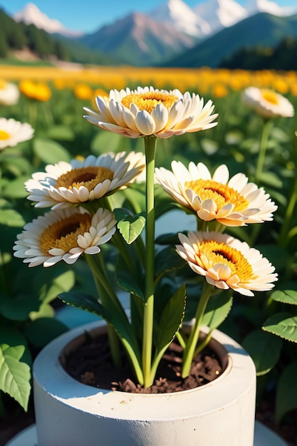 Mooie planten gele wilde chrysanthemum bloemen als zonnebloemen mooie behang achtergrond