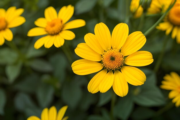 Foto mooie retro natuur met bloemen.