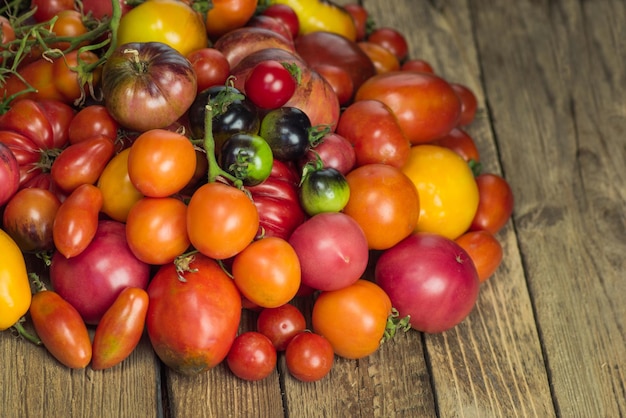 Mooie rijpe verschillende soorten tomaten Kleurrijke tomaten achtergrond of textuur