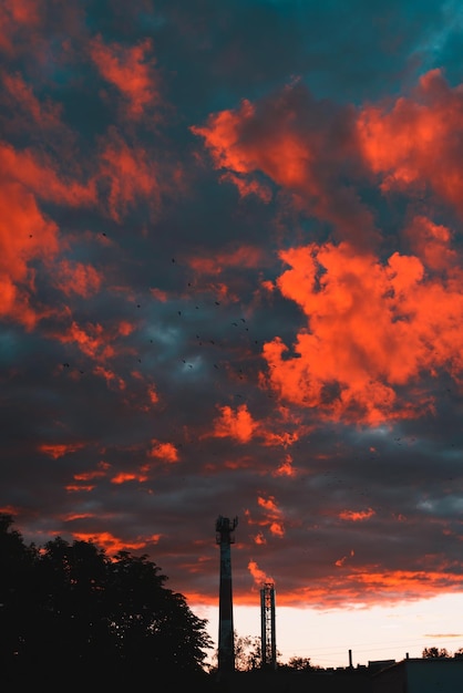 Mooie rode bewolkte zonsondergang in de avond Silhouetten van bomen en toren tegen de lucht