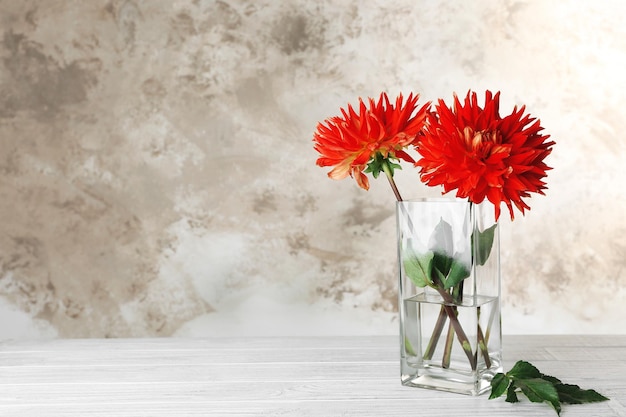 Mooie rode dahlia bloemen in vaas op lichte achtergrond