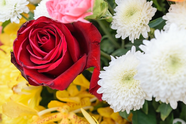 Mooie rode roze bloem in een boeket, natuurlijk mooie bloemen in de tuin