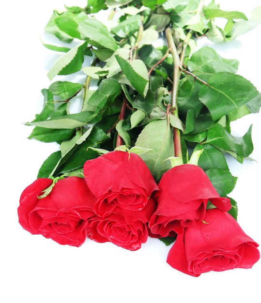 Foto mooie rode rozen geïsoleerd op wit