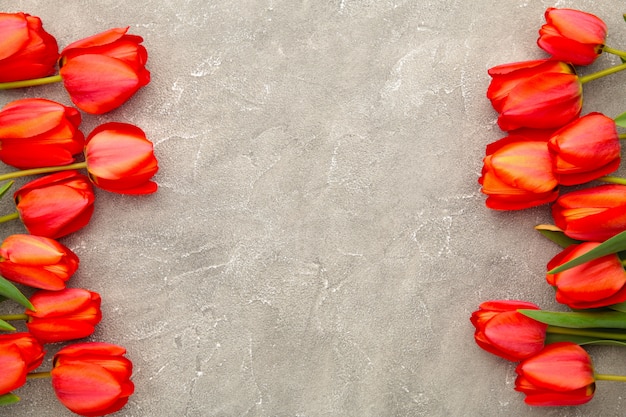 Mooie rode tulpen op grijs beton met kopie ruimte