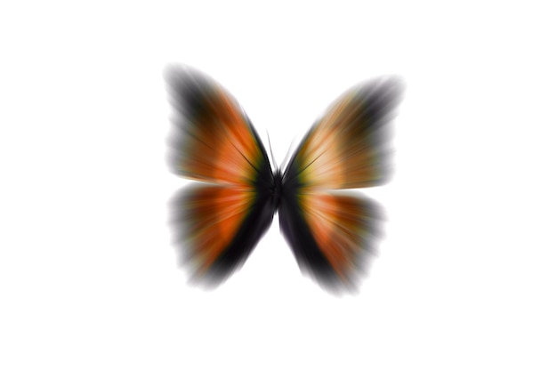 Mooie rode vlinder met vage vleugels. geïsoleerd op witte achtergrond