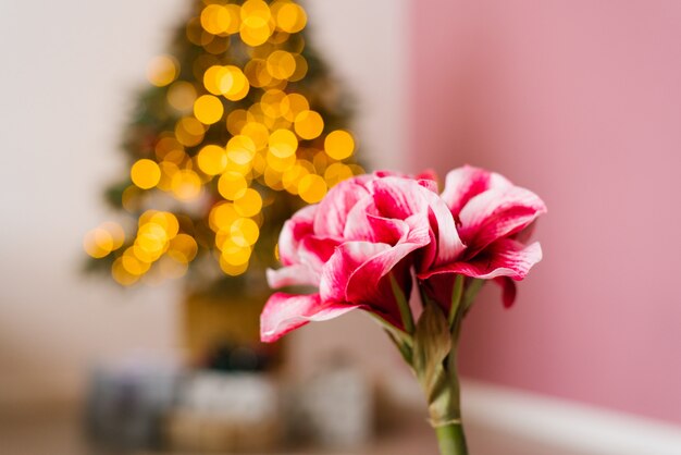 Mooie roze bloem op kerstverlichting. Kopieer ruimte