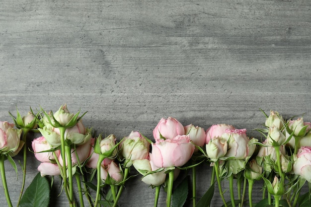 Mooie roze bloemen op grijze textuur