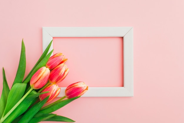 Mooie roze en gele tulpen in boeket op witte achtergrond