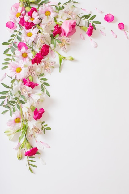 Mooie roze en witte bloemen op witte achtergrond