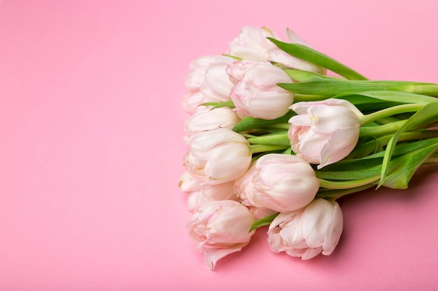 Mooie roze en witte tulpen op roze achtergrond