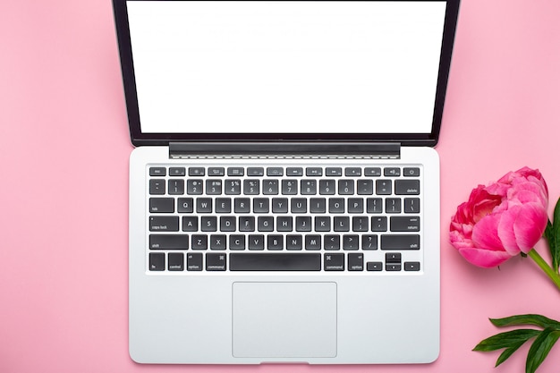 Mooie roze pioenbloem en laptop