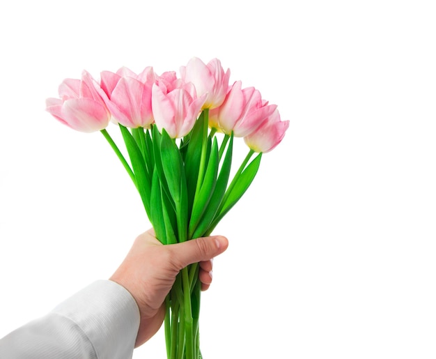 Mooie roze tulpen bloemen in de hand geïsoleerd op een witte achtergrond 8 maart Moederdag concept