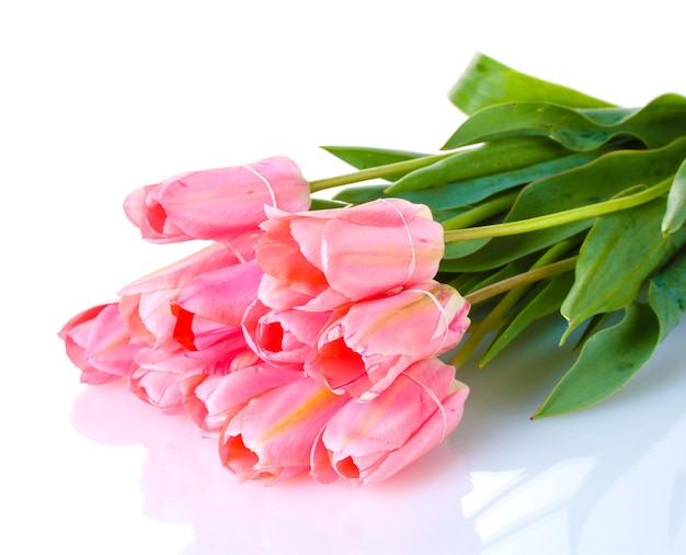 Mooie roze tulpen geïsoleerd op wit