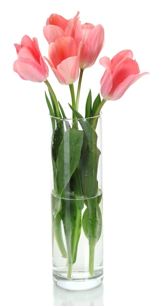 Mooie roze tulpen in glazen vaas geïsoleerd op wit