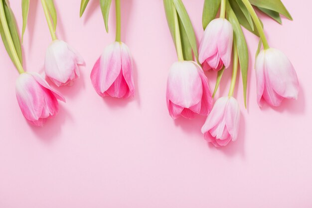 Mooie roze tulpen op roze