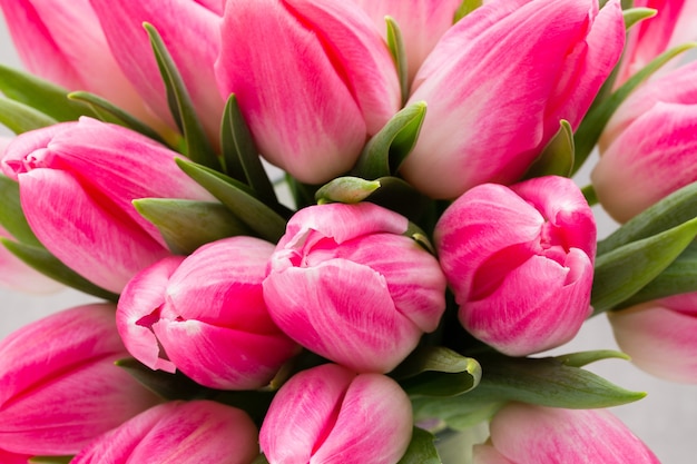 Mooie roze tulpen