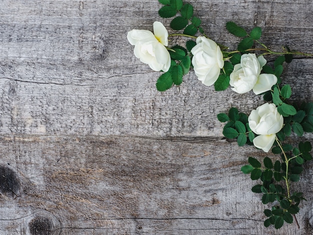 Foto mooie rozebotteltak met witte bloemen