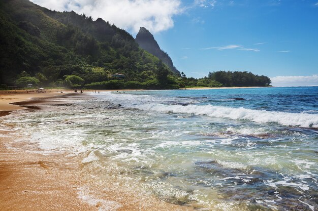 Mooie scène in Tunnels Beach op het eiland Kauai, Hawaii, USA